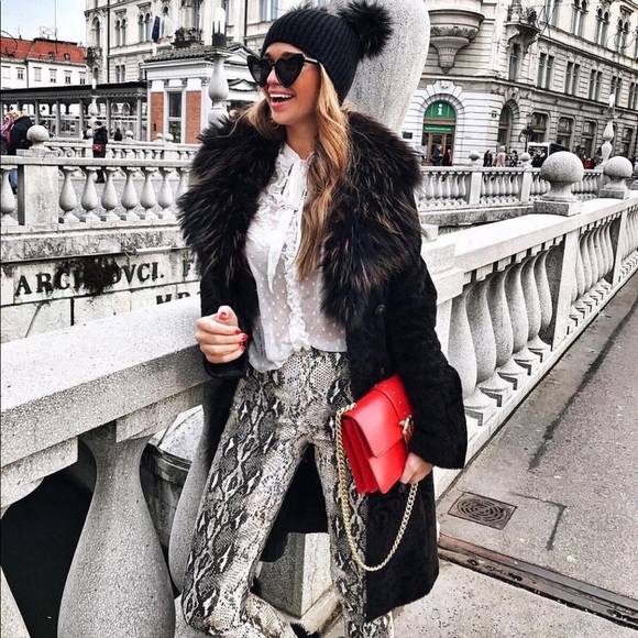 Pants - Snake print high waist pants jeggings